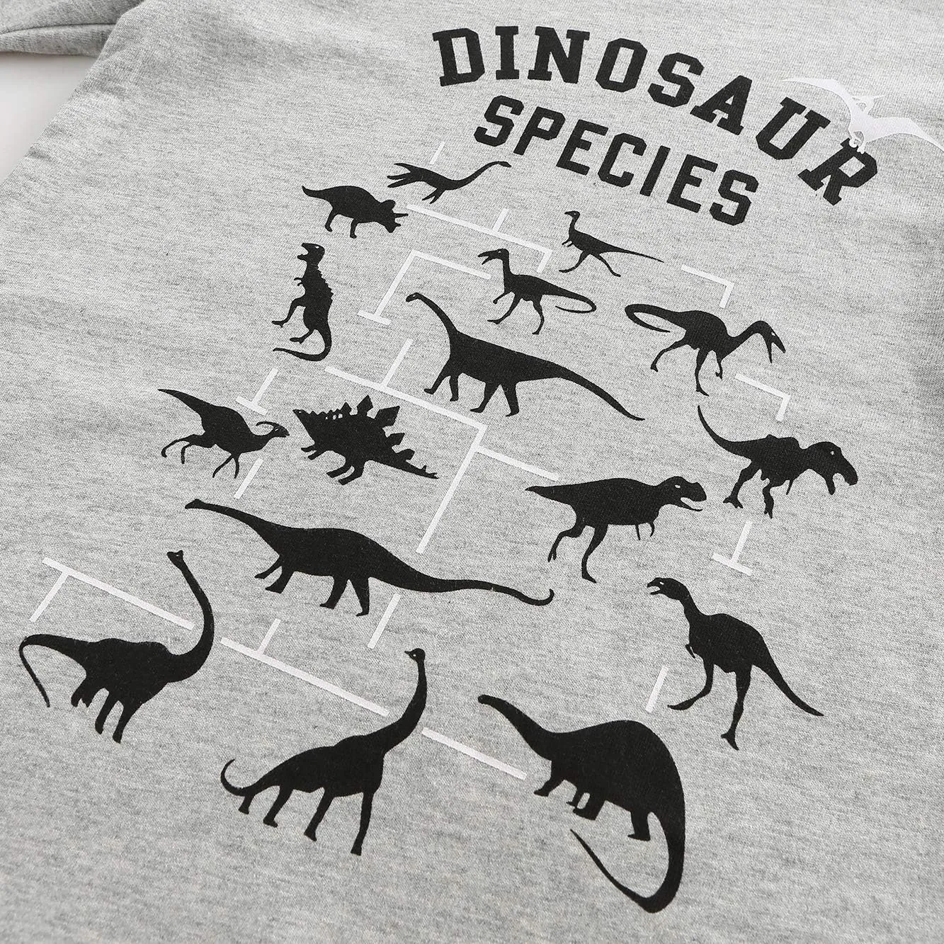 Boys Cotton Long Sleeve T-Shirts T Rex Dinosaur Shirt Graphic Tees