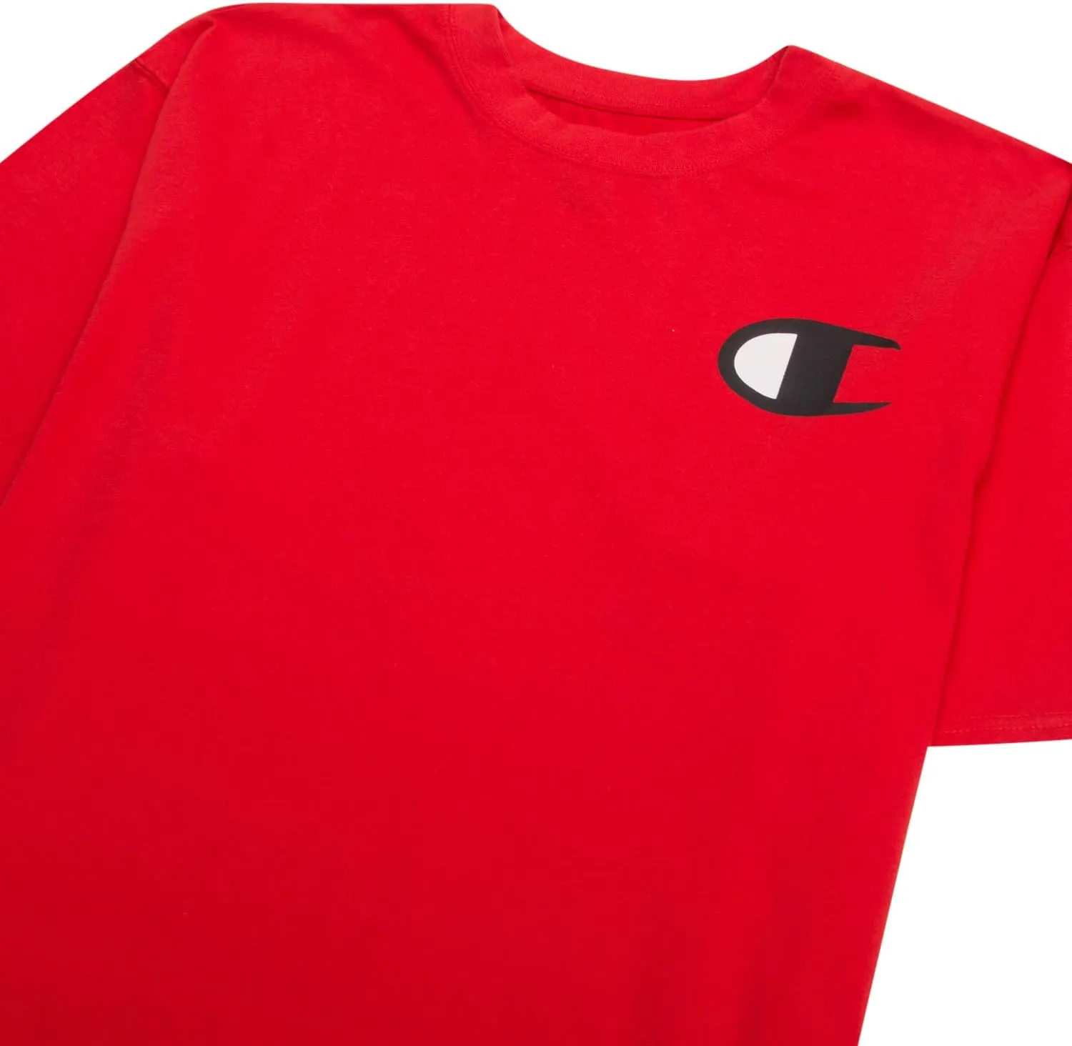 Champion Big and Tall T Shirts for Men – 2 Pack Graphic Mens Big and Tall Tees