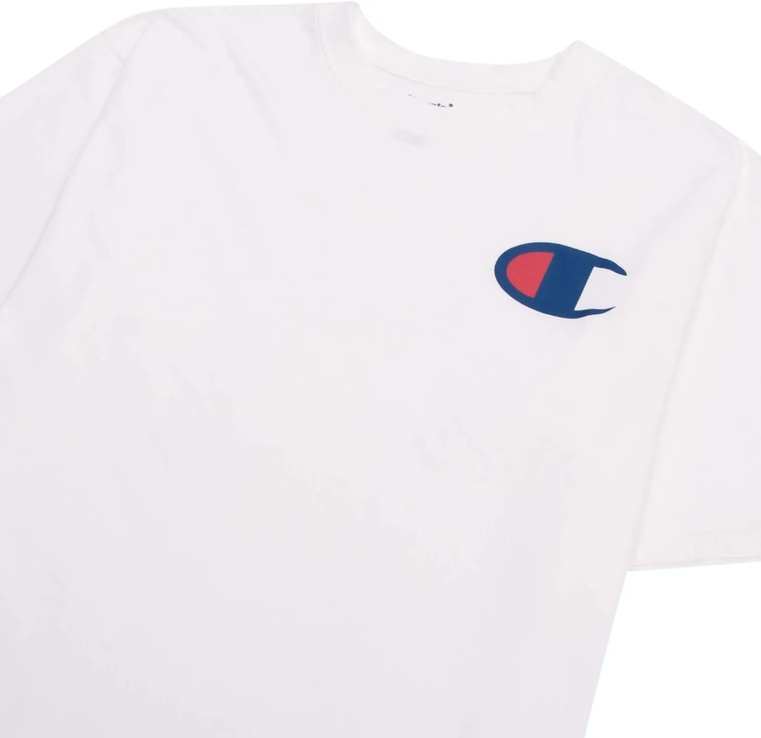 Champion Big and Tall T Shirts for Men – 2 Pack Graphic Mens Big and Tall Tees